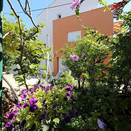 זאדאר Apartments Ivanov מראה חיצוני תמונה