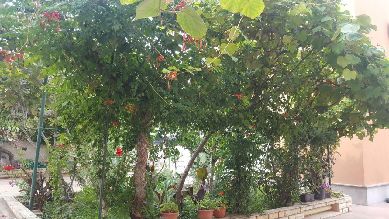 זאדאר Apartments Ivanov מראה חיצוני תמונה